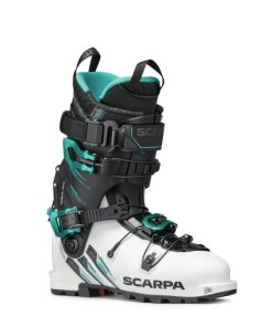 Chiccharge.shop28aca1461b 1