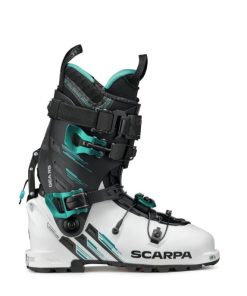 Chiccharge.shop28aca1461b 2