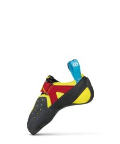 Chiccharge.shop2a4606be72 4