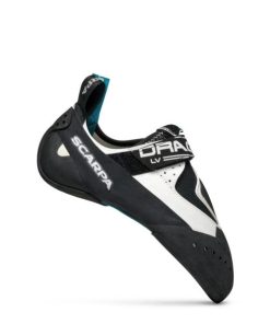 Chiccharge.shop5c248fac04 1