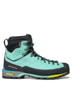 Chiccharge.shop6de50ad407 2