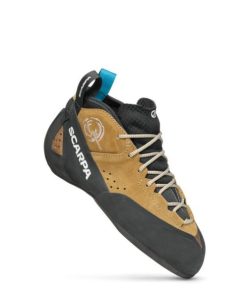 Chiccharge.shop9678508cbe 2