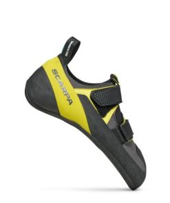 Chiccharge.shop9bd79049ef 1