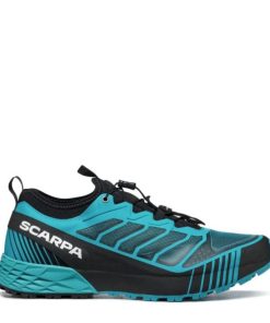 Chiccharge.shopabd35e7302 2