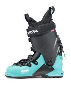 Chiccharge.shopc32edfc3d7 3