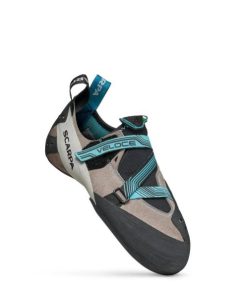 Chiccharge.shopd81b362930 2