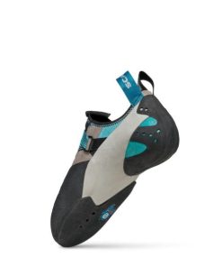 Chiccharge.shopd81b362930 5