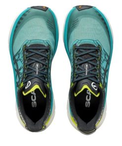 Chiccharge.shopf2b5de25c4 2