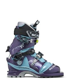 Chiccharge.shopf2eafef7e0 2